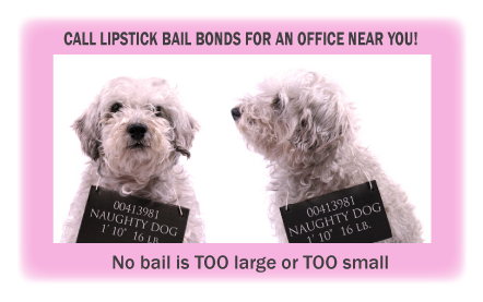 CALL LIPSTICK BAIL BONDS FOR AN OFFICE NEAR YOU! Need help getting out of the dog house! No bail is TOO large or TOO small!